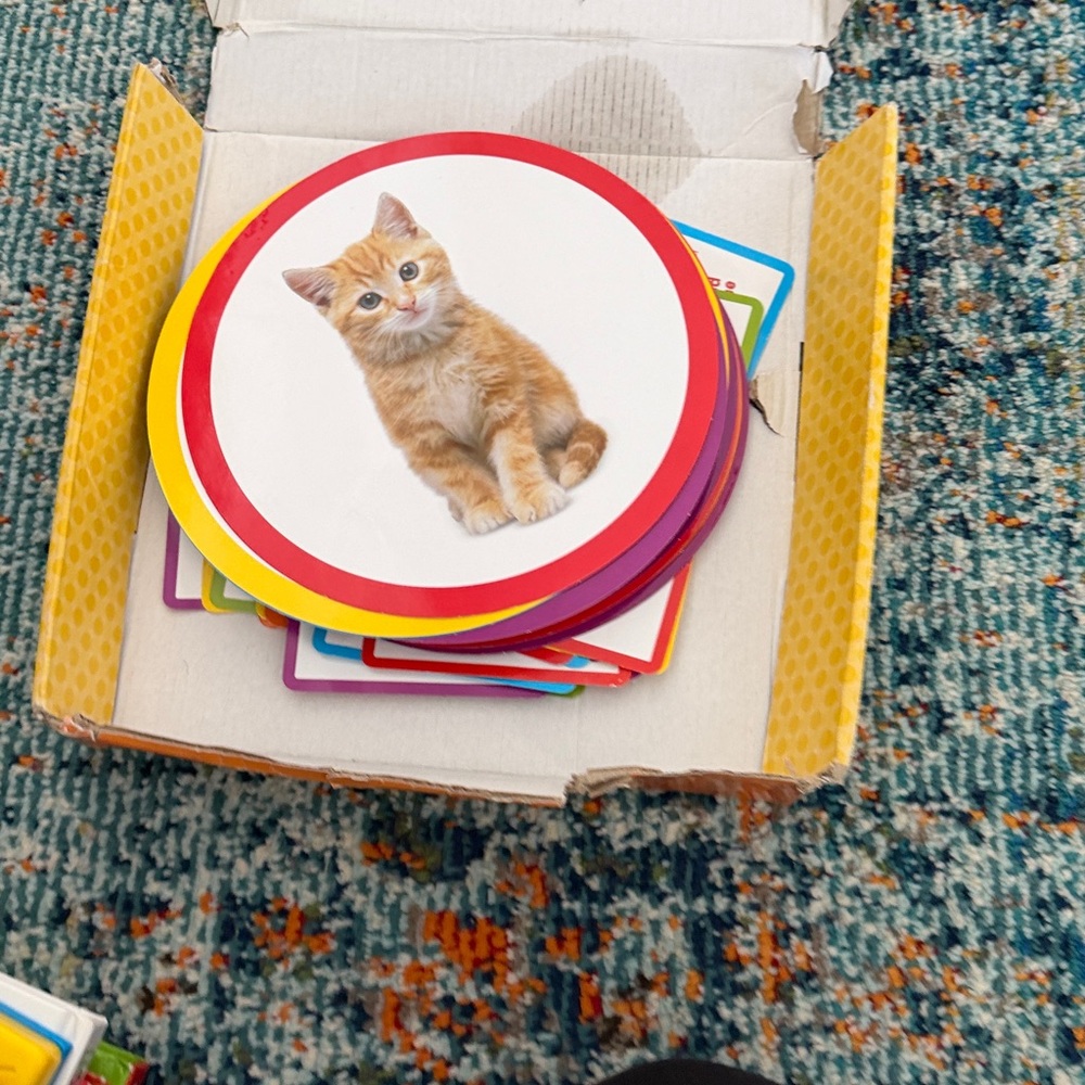 Seek-a-Boo! Memory Game - Picture 2 of 2